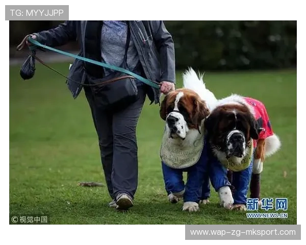 伯明翰宫城天的灵巧盘带让整个队内训练节奏上扬