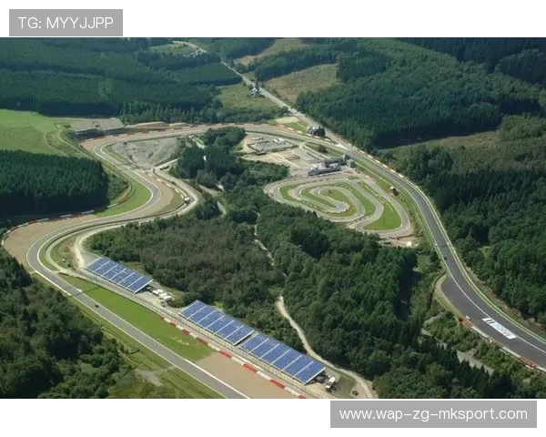 赛道温度与胎压策略：F1高速竞技背后的秘密武器