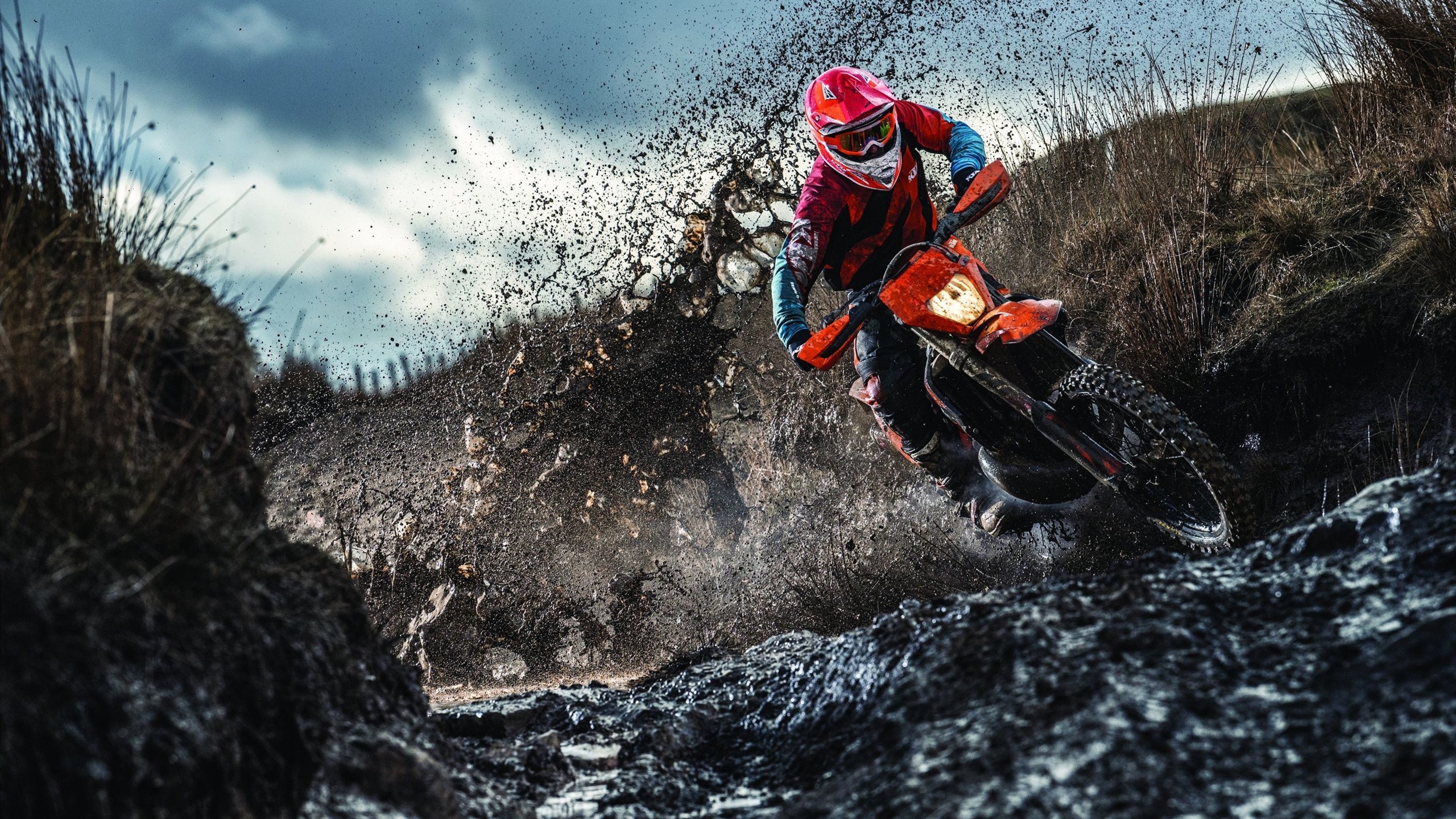 大满贯选手马龙再创辉煌，金牌又一枚，大满贯得主马龙