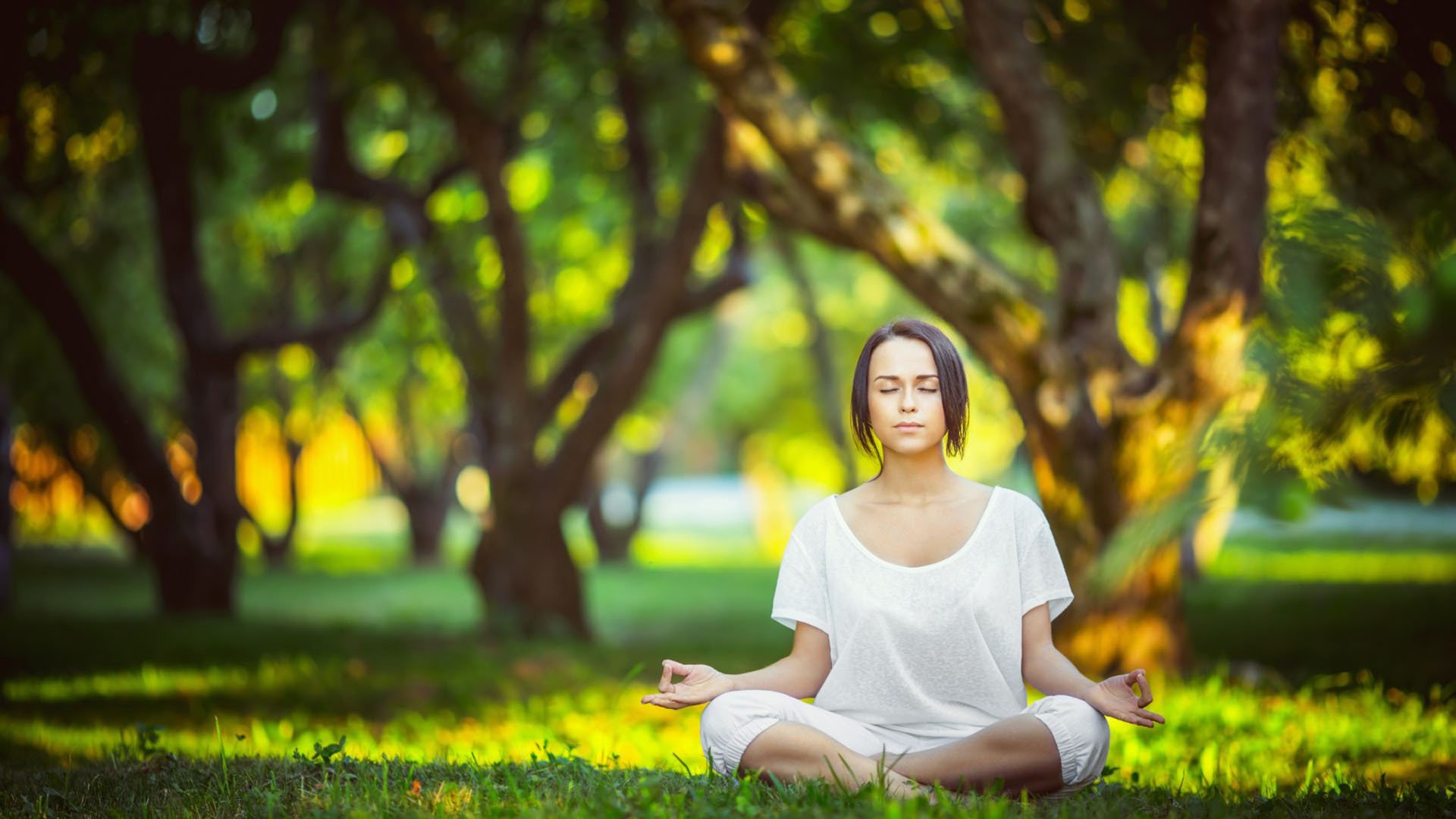 世界学生拳击技术对抗营:脚步与出拳配合获好评,世界拳击规则